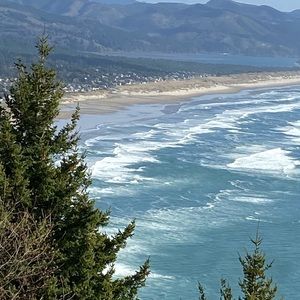 Meet your Posher, Shelly